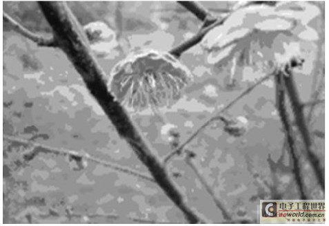 按2∶1缩小后的图片效果