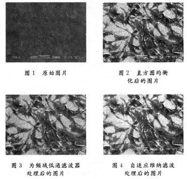 自适应维纳滤波