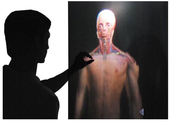 人体交互的3D解剖模型
