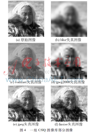 003.jpg 003.jpg