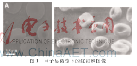 图像 001.png 图像 001.png