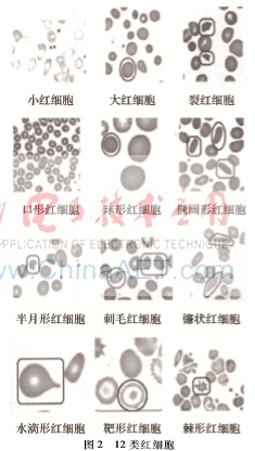 图像 002.png 图像 002.png