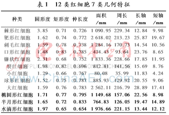 图像 004.png 图像 004.png