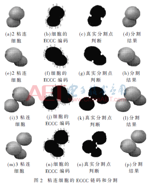 jsj4-t2.gif jsj4-t2.gif