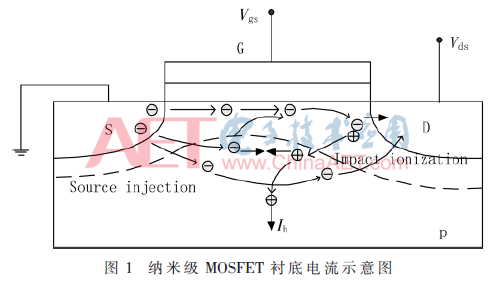 wdz1-t1.gif wdz1-t1.gif