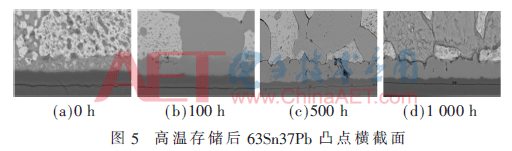 wdz2-t5.gif wdz2-t5.gif