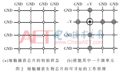 ck4-t2.gif ck4-t2.gif