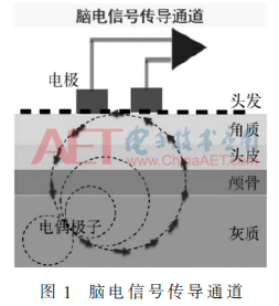zs1-t1.gif zs1-t1.gif