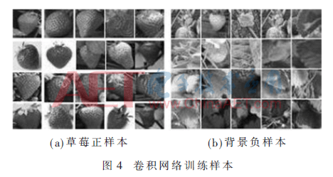 jsj5-t4.gif jsj5-t4.gif