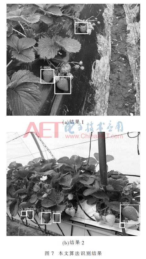 jsj5-t7.gif jsj5-t7.gif