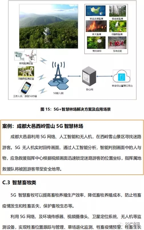 640.webp (10).jpg