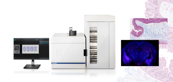 1576725153661482.png 1576725153661482.png