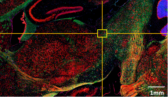 1576725203834778.png 1576725203834778.png