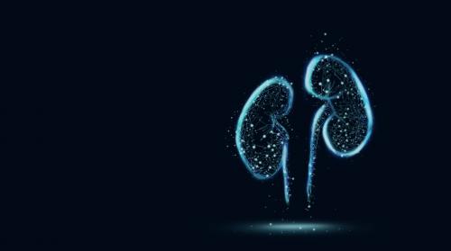 5e58b3a67a62f-thumb.jpg 5e58b3a67a62f-thumb.jpg