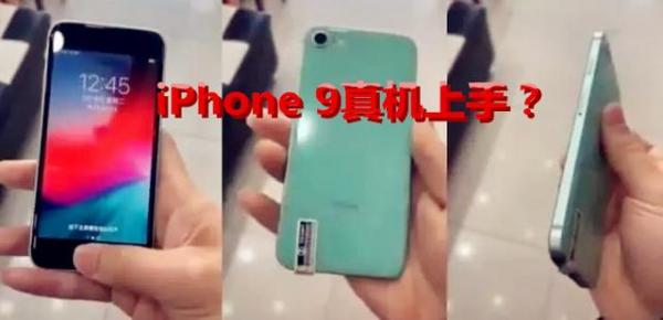 11115.jpeg 11115.jpeg