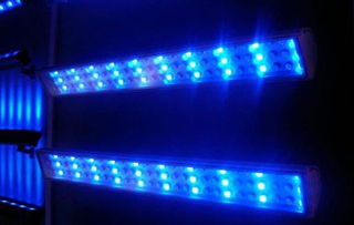 5e7d63ab3e603.png 5e7d63ab3e603.png