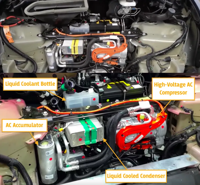 forward (8).jpg forward (8).jpg