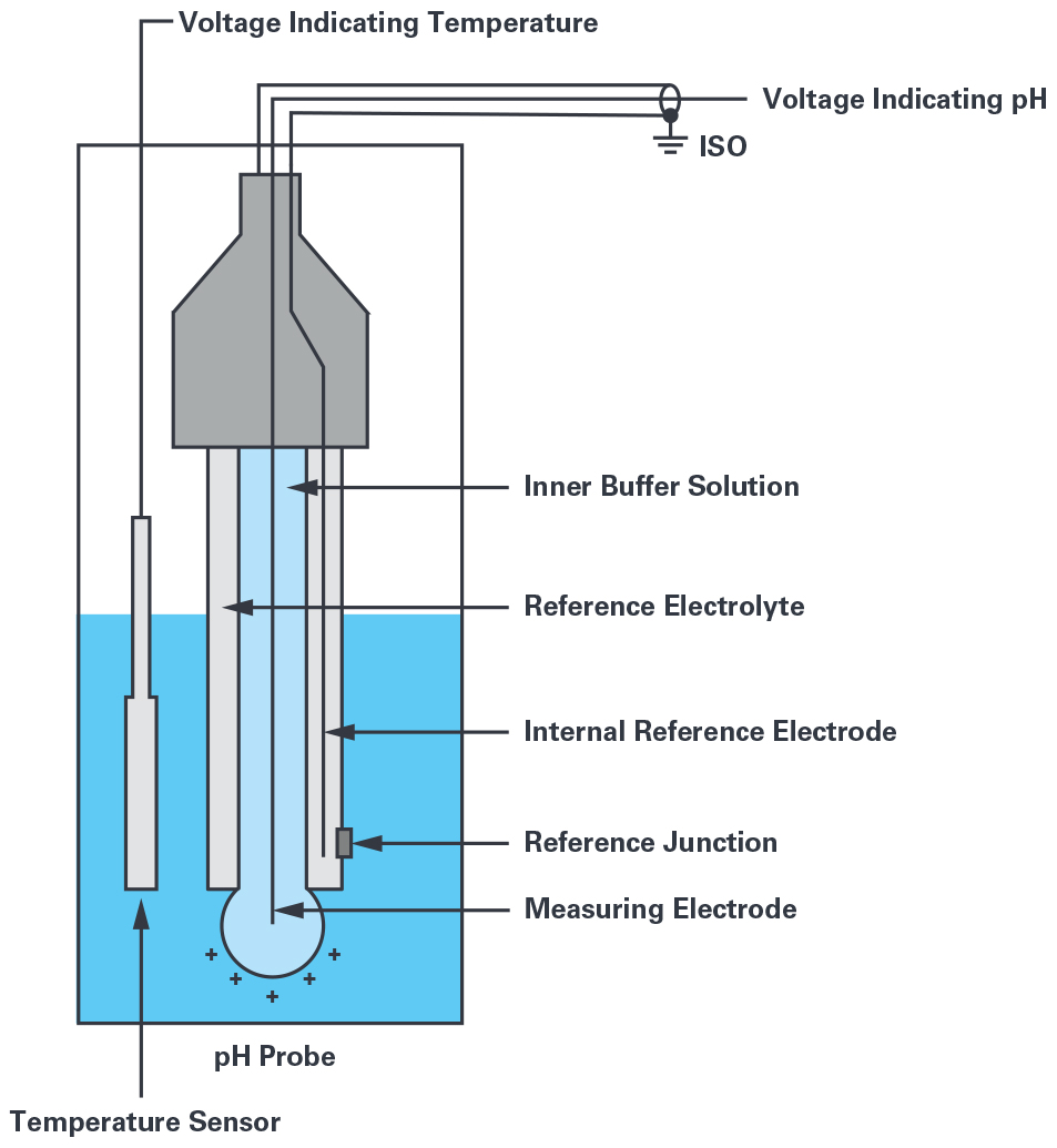 288870-fig-03.jpg 288870-fig-03.jpg
