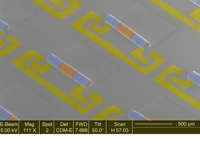 错错错2222.jpg 错错错2222.jpg