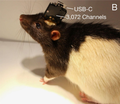 5f4cbad566d48-thumb.png 5f4cbad566d48-thumb.png