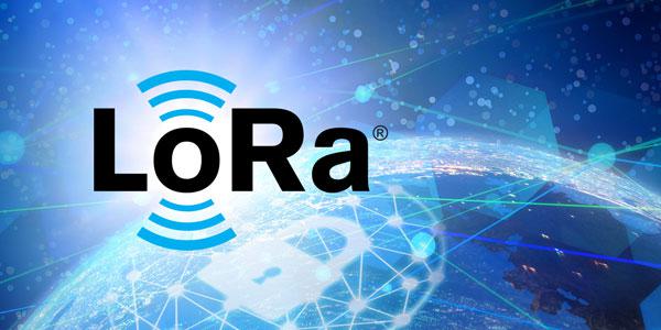 图片5.jpg 图片5.jpg