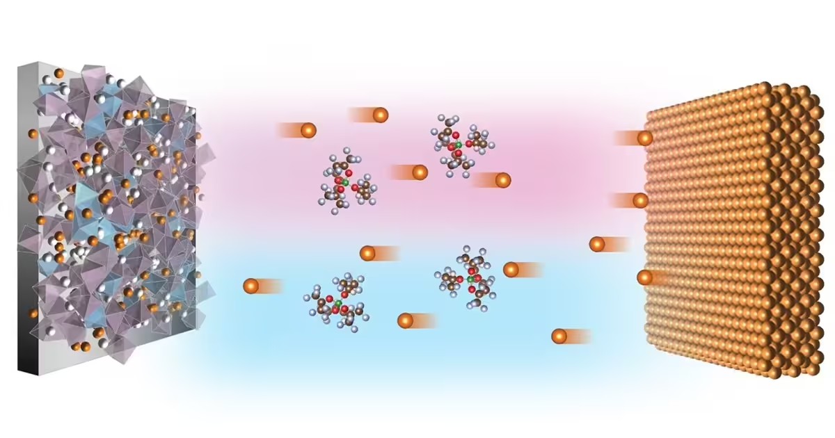 format,f_avif.avif.jpg format,f_avif.avif.jpg