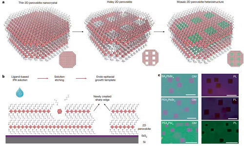 format,f_avif.avif (1).jpg format,f_avif.avif (1).jpg