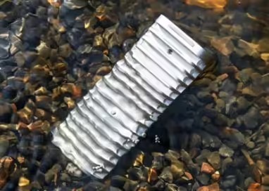 format,f_avif.avif.jpg format,f_avif.avif.jpg