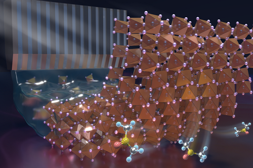 2026022809280946359.png 2026022809280946359.png