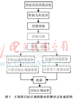 基于不规则图像面积测量的窄体舌鳎个体重量估计