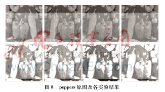 图像 008.png