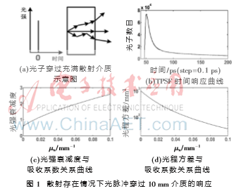 基于Monte Carlo仿真的降低光谱散射方法比较研究