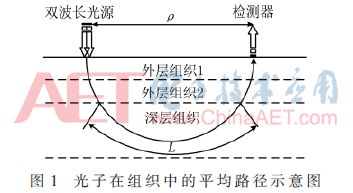 ck1-t1.gif