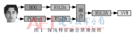 rgzn2-t1.gif
