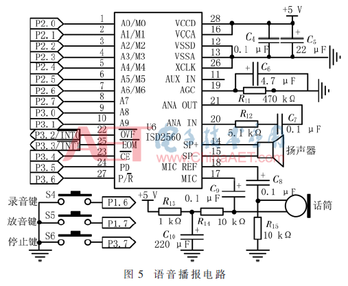 ck1-t5.gif