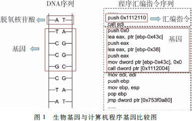 计算机程序基因技术初探