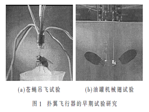 微型仿生扑翼飞行器研究综述