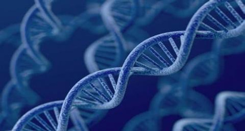 “蚕丝硬盘”，同时记录数字信息和生物信息的新科技存储硬盘