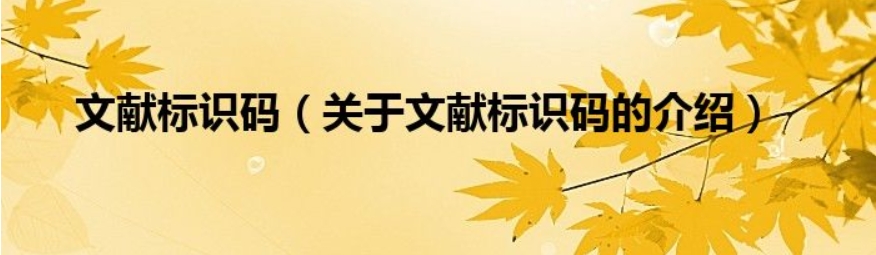 中图分类号与文献标识码查询方法
