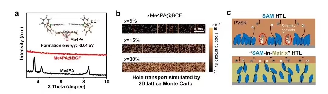 format,f_avif.avif (1).jpg