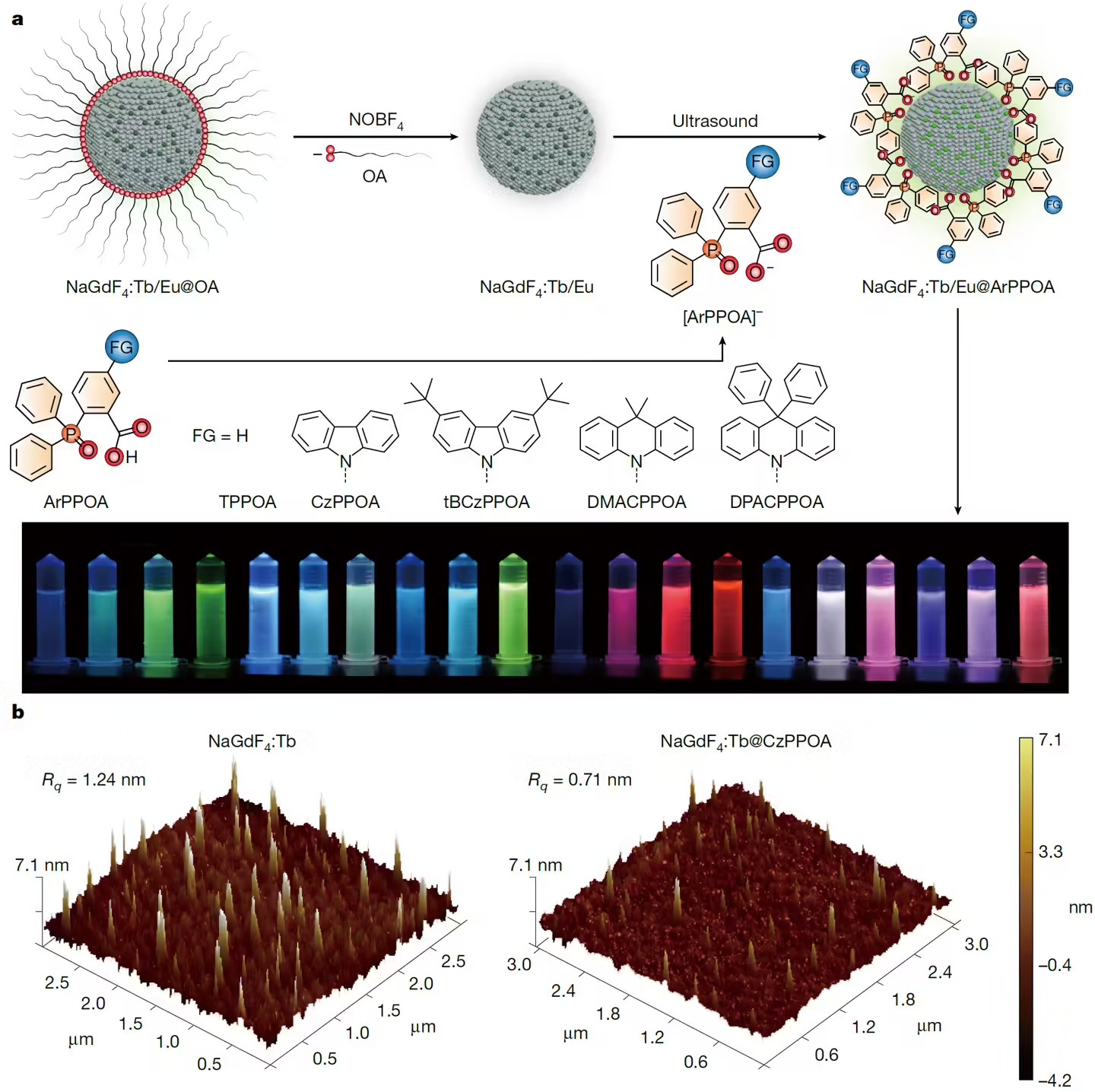 format,f_avif.avif (1).jpg