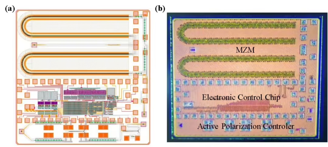 format,f_avif.avif (1).jpg